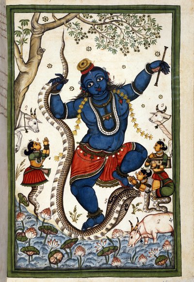 Guddommen til den brahmaniske triaden Vishnu Page fra manuskriptet (ms. 8300) "Mogols historie"" (Moghul eller Moghol) av Stefano Nivibus Cardeira. 18. århundre. Bibloteca marciana, Venezia av Unknown artist