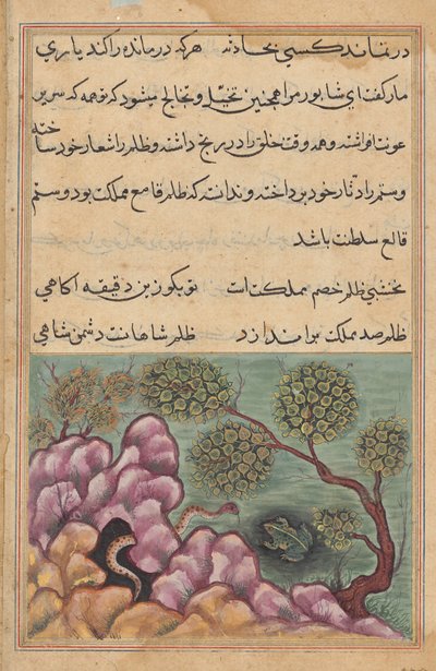 Den detroniserte frosken Shapur søker hjelp av slangen, fra en Tuti-nama (Tales of a Parrot): Twenty-sixth Night av Unknown artist