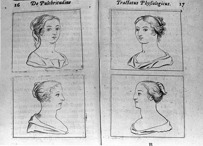 De forskjellige kvinneprofilene Page hentet fra "Tractatus physiologicus de pulchritudine"" omhandler Ernesto Venio (Ernestus Vaenius) som forsvarer skaperverkets skjønnhet mot en anonym motstander. 1612 av Unknown artist