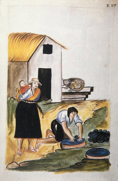 Farging av ull, fra boken "Trujillo of Peru" eller "Codex Martinez Companion", av Baltazar Martinez Companion og Bujanda, biskop av Trujillo (1782-1785) av Unknown artist