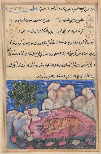 Løven forstyrret av mus som spiser maten fanget i hans aldrende tenner, fra en Tuti-nama (Tales of a Parrot): Femtende natt av Unknown artist