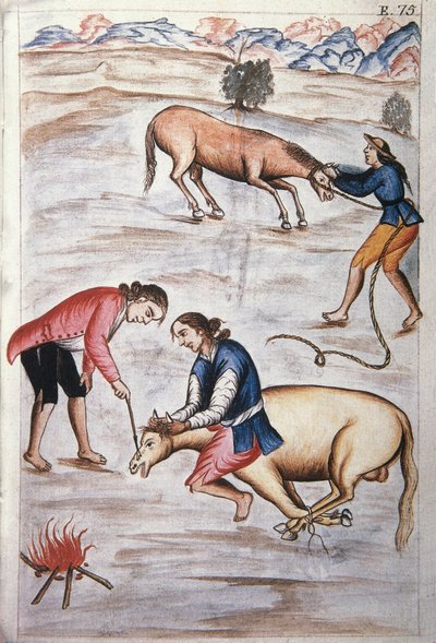 Det røde jernmerket til en hoppe, fra boken "Trujillo del Peru" eller "Codex Martinez Companion", av Baltazar Martinez Companion og Bujanda, biskop av Trujillo (1782-1785) av Unknown artist