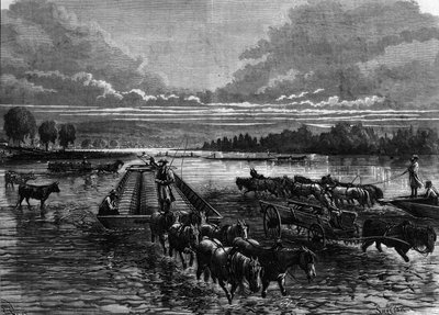 Transport av oljefat til Oil Creek, Pennsylvania, USA av Unknown artist