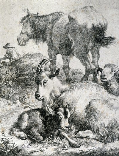 Traught hest, geit, geit og vær - gravering av Unknown artist