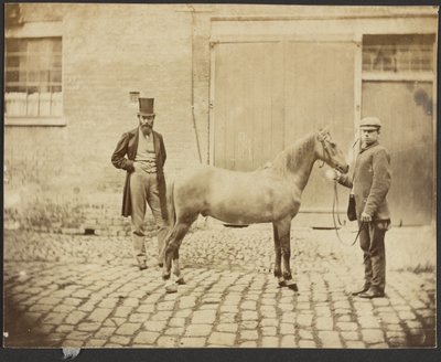 To menn og en hest av Unknown artist
