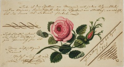 Uten tittel Valentine (rosa blomst) av Unknown artist