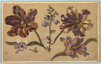 Ulike blomster av Unknown artist