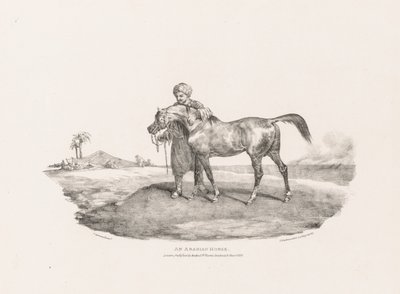 Ulike emner tegnet fra livet og på stein: En arabisk hest av Unknown artist