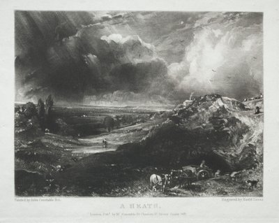 Ulike landskapsfag, karakteristisk for engelsk natur fra bilder malt av John Constable, R.A.: A Heath av Unknown artist