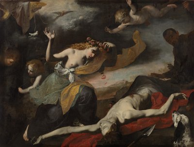 Venus oppdager den døde Adonis av Unknown artist