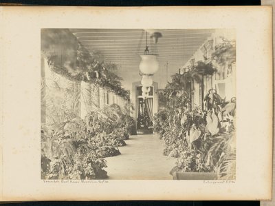 Veranda. Regjeringsbygning. Mauritius. av Unknown artist