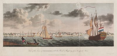 Utsikt over byen Paramaribo, med veien og skipsfarten fra den motsatte siden av Unknown artist