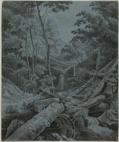 Foss og falne tømmerstokker i skogen av Unknown artist
