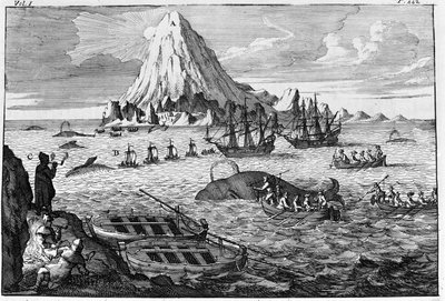 Hvalfangst utenfor øya Jan Mayen. gravering tidlig på 1700-tallet av Unknown artist