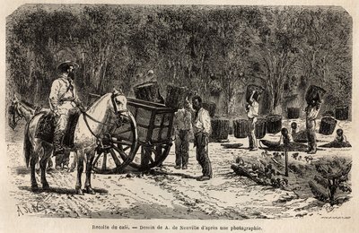 Når kaffen er hentet, samler og frakter mennene de tunge kurvene fylt med kaffefeber, mens barna renser fruktkjøttet som omgir kaffefeberne. Gravering for å illustrere reisen til Brasil, historie av M. og Mme Agassiz, i 1865-18 av Unknown artist