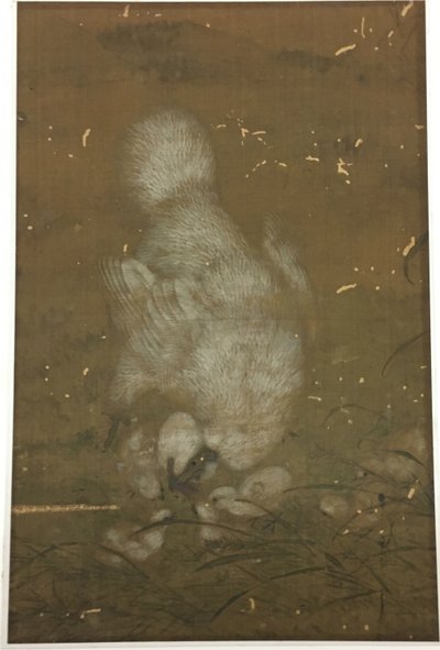 Hvit høne og kyllinger av Unknown artist