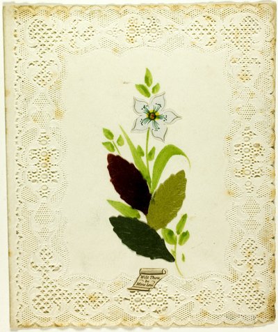 Vil du være min kjærlighet (valentinsdag) av Unknown artist