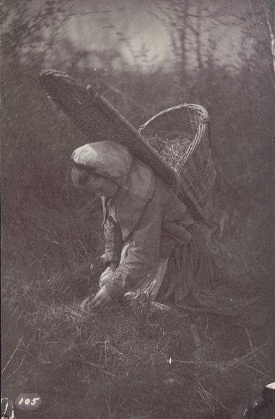 [Kvinne med kurv på ryggen] av Unknown artist