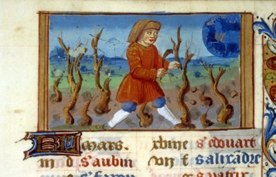 Zodiac Væren og trestørrelse - Miniatyr av middelalderen (ref. 137, 047r) - Be om tillatelse fra kommunalbiblioteket i Toulouse (tlf: 05 62 27 66 66) av Unknown artist