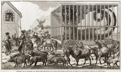 Zoomorphism - Karikatur mot Mary - Antoinette - Forlot harpyen eller amfibiemonsteret i Cadiz for å bli ført til kongen og kongefamilien i Spania: Dette dyret ble tatt ved bredden av Lake Fagua - 1784 - av Unknown artist
