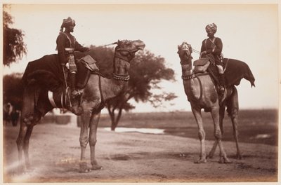 Camel Sowars på treningsleiren i Delhi av Unknown photographer