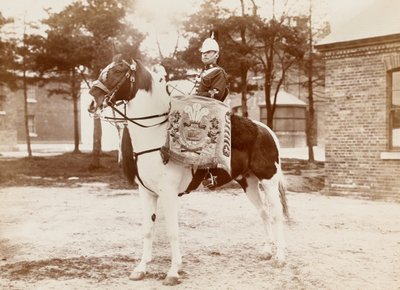 ?Trommehest, 3rd Prince of Wales?s Dragoon Guards?, 1895 ca. av Unknown photographer