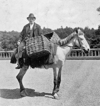Irsk mann på hesten (1800-tallet). av Unknown photographer