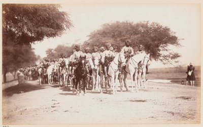 Nabhas innfødte kavalerikontingent ved treningsleiren i Delhi av Unknown photographer