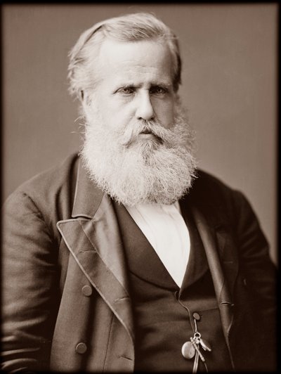 Portrett av Dom Pedro II (Peter II) (Dom Pedro de Alcantara) (1825-1891), keiser av Brasil av Unknown photographer