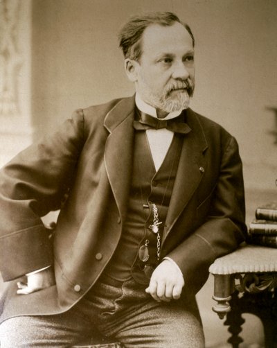 Portrett av Louis Pasteur (foto) av Unknown photographer