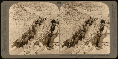 Portrett av en gutt i de berømte marmorbruddene i Carrara; Stereoskopisk fotografi (s/hvitt bilde) av Unknown photographer