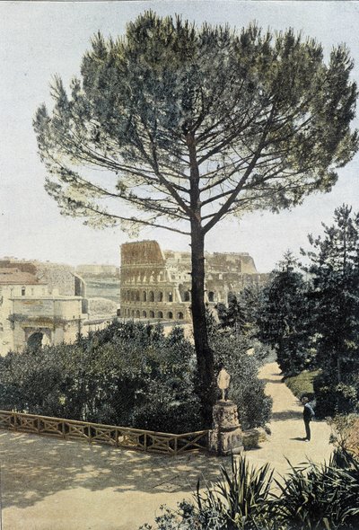 Roma, Colisee sett fra Palantin - Arts Deco. av Unknown photographer