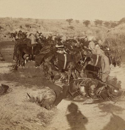 Vanning av artillerihester, Welgelegen, Sør-Afrika av Unknown photographer