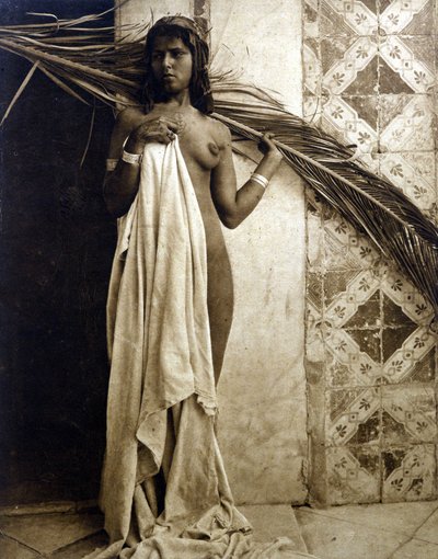 Ung berberkvinne poserer naken. Fotografering rundt 1890 av Unknown photographer