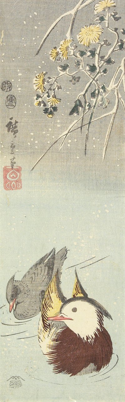 (Chrysanthemum and Mandarin Ducks), februar 1854 av Utagawa Hiroshige