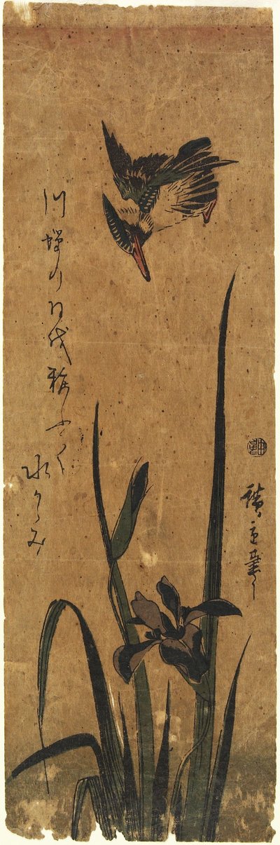 (Iris og Kingfisher), 1830-1858 av Utagawa Hiroshige