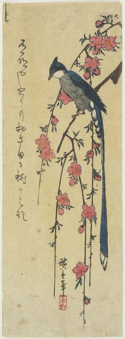 (Langhale hane på hengende kirsebærtre) av Utagawa Hiroshige