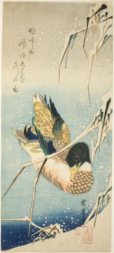 En villand som svømmer ved en snødekt bredd under snøfylte siv av Utagawa Hiroshige