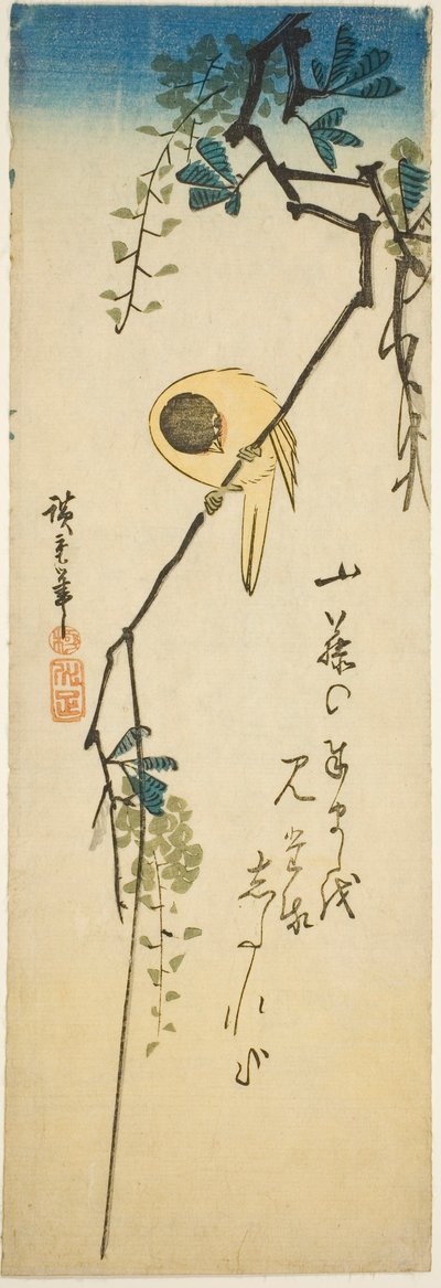 Fugl på silkeaktig blåregn av Utagawa Hiroshige