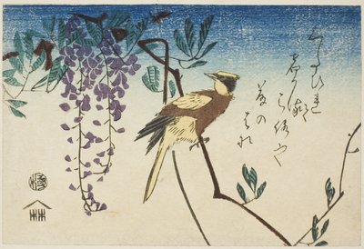 Svartnakket oriole og blåregn av Utagawa Hiroshige