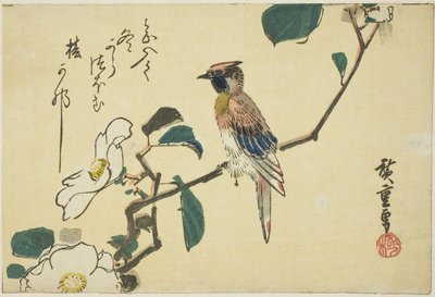 Svartnakket oriole på kameliagren av Utagawa Hiroshige