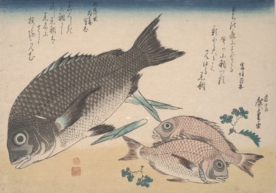Svartebrasmer, småbrasmer, aspargesskudd og Sansho-pepper, ca. 1830 av Utagawa Hiroshige