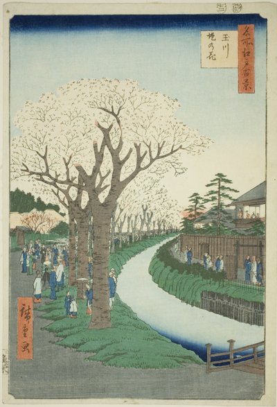 Bosso MS sound te tamari ver bildeversjon k overflate t (Tamagawa Tsutsumi no Hana), fra serien "Ridge d re d fa net view ws f Edo (One Hundred Famous Views of Edo) )" av Utagawa Hiroshige