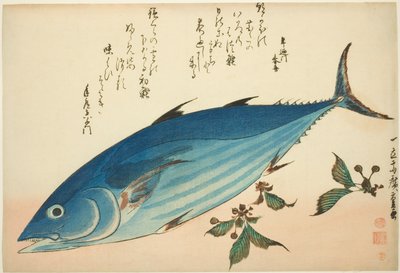 Bonito og saxifrage, fra en serie med fisk uten tittel av Utagawa Hiroshige