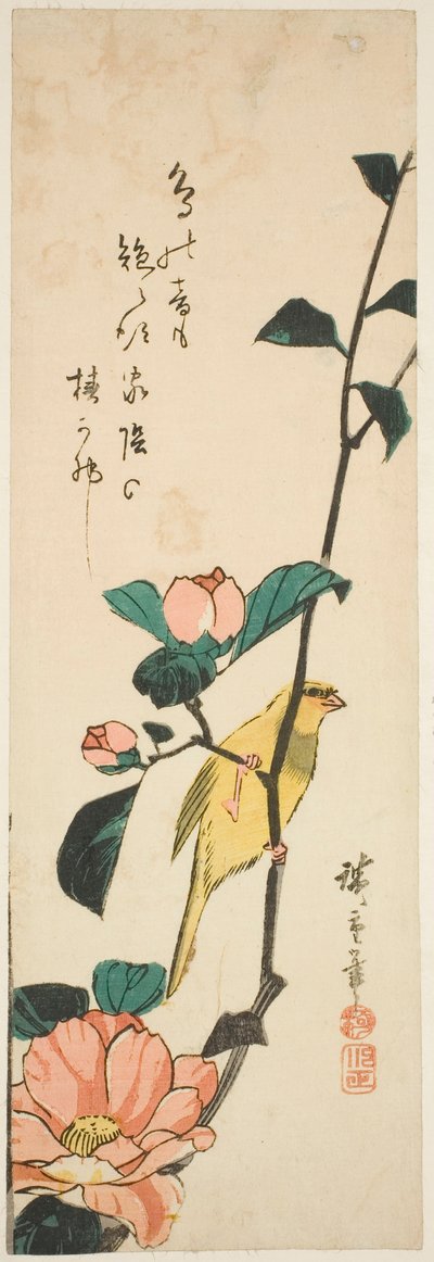 Kanarifugler og kameliaer av Utagawa Hiroshige
