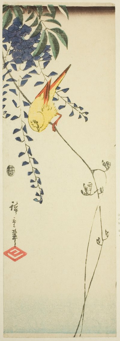 Kanarifugl og blåregn av Utagawa Hiroshige
