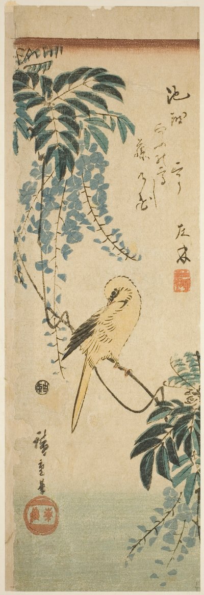 Kanarifugl og blåregn av Utagawa Hiroshige