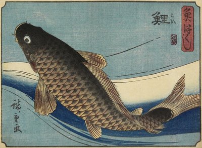 Karpe, 1830-1844 av Utagawa Hiroshige