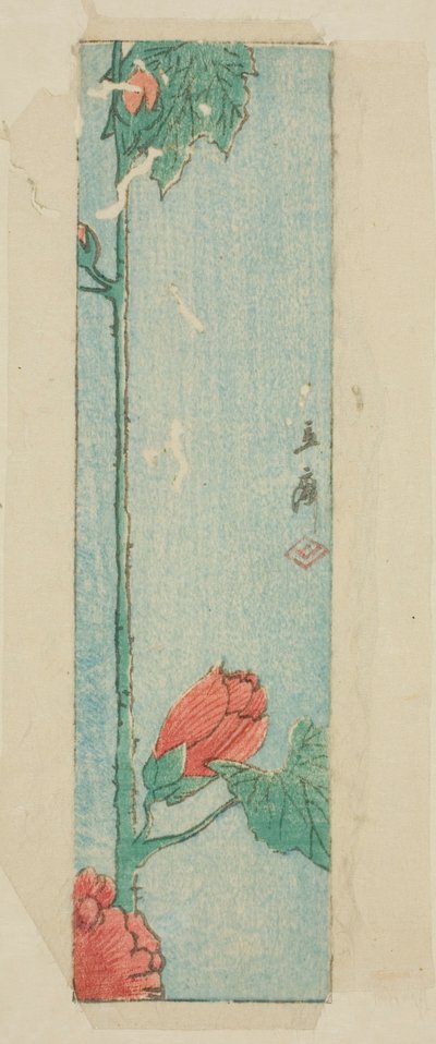 Konvolutt med hibiskus av Utagawa Hiroshige