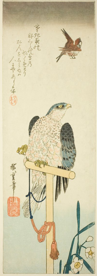 Falk, spurv og narcissus av Utagawa Hiroshige